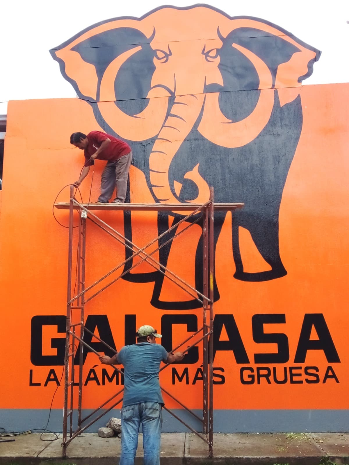 Proceso de pintura del elefante y la marca Galcasa en una fachada